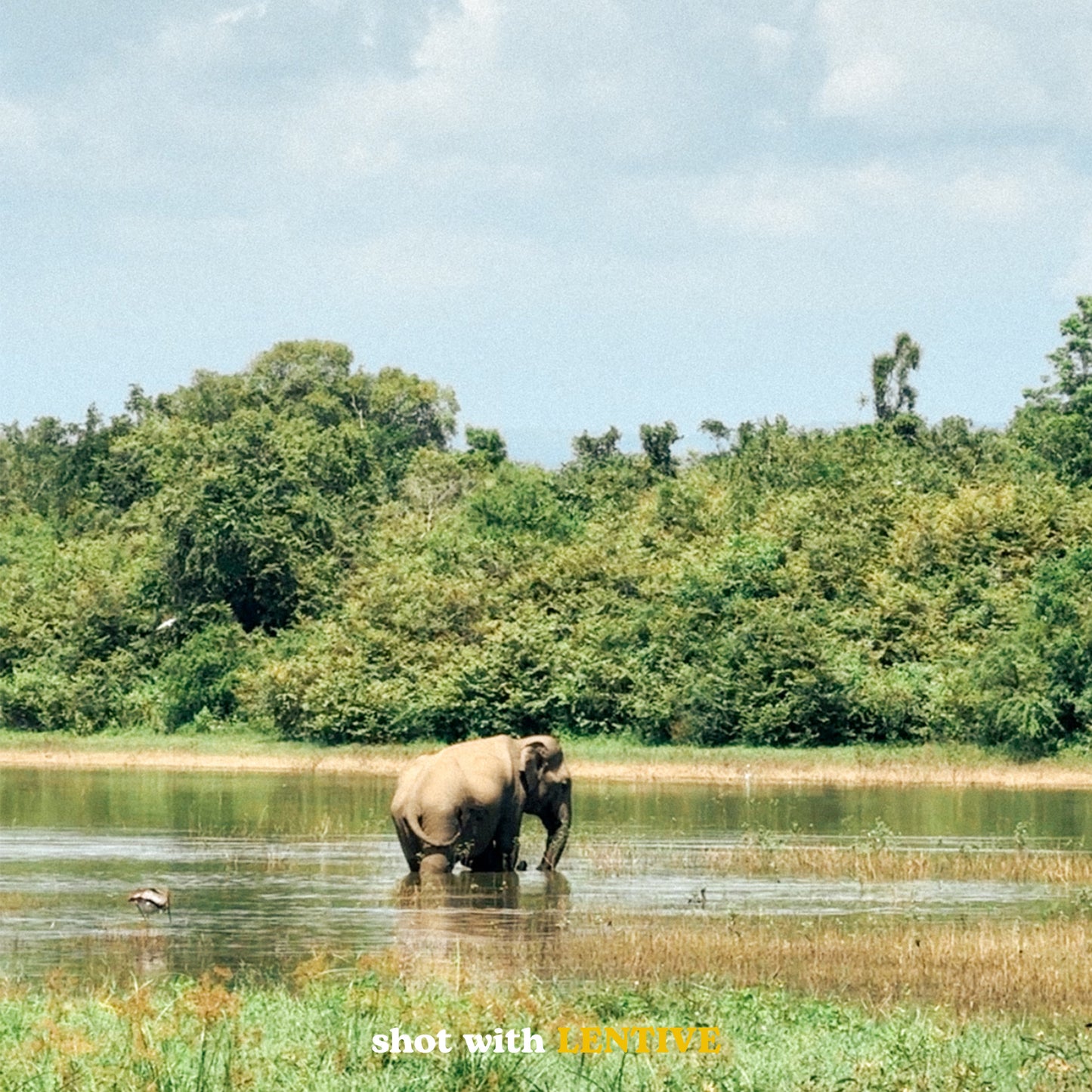 Vintage Einsteiger Set